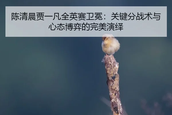chen-qing-chen-jia-yi-fan-quan-ying-sai-wei-mian-guan-jian-fen-zhan-shu-yu-xin-tai-bo-yi-de-wan-mei-yan-yi-2-679.jpg